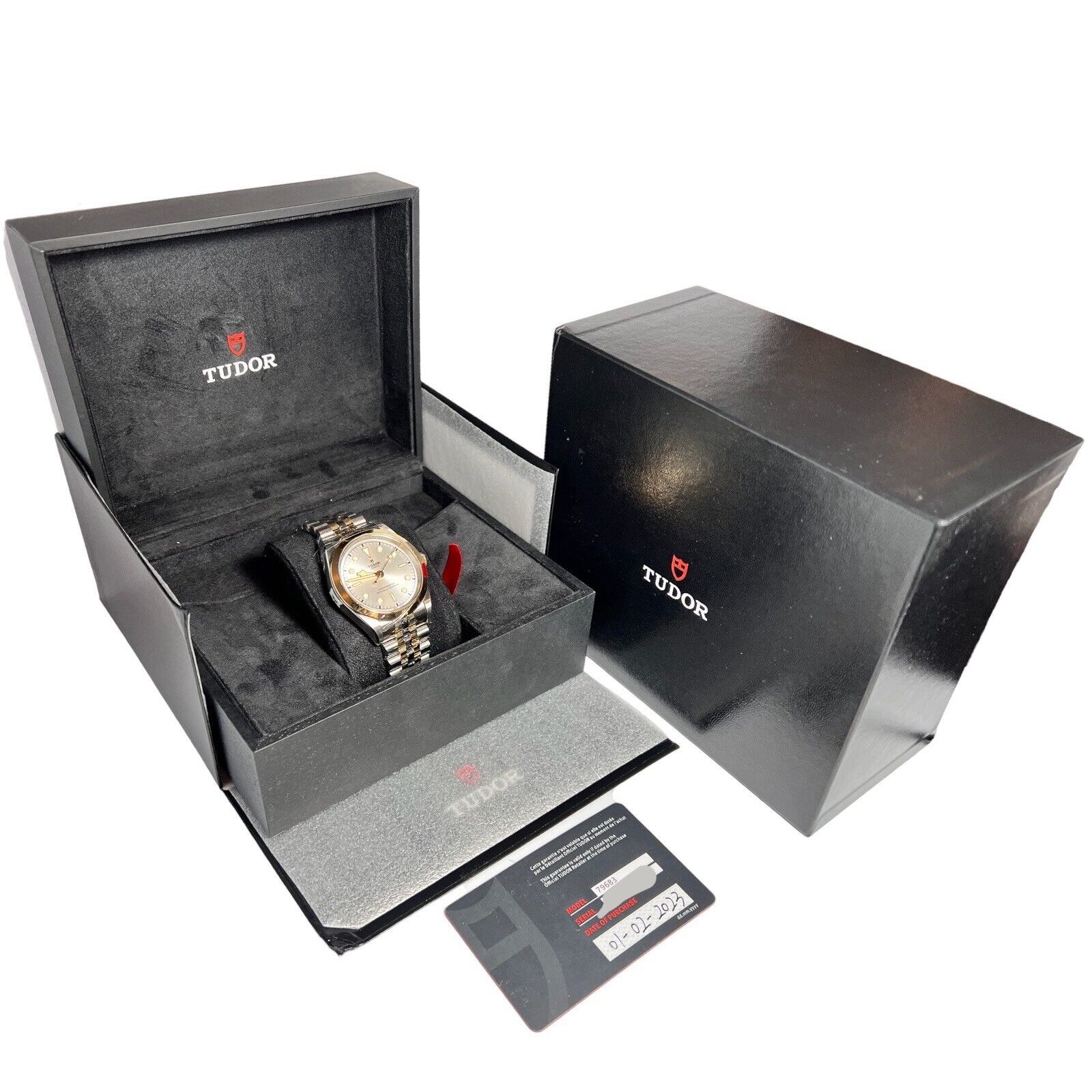 2023 NEW Tudor Black Bay 41 S&G Automatic Silver Dial Men's Watch 79683 B/P