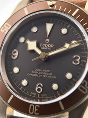 2018 Tudor Black Bay Bronze Brown Dial 43mm Automatic Men’s Watch 79250BM - B/P