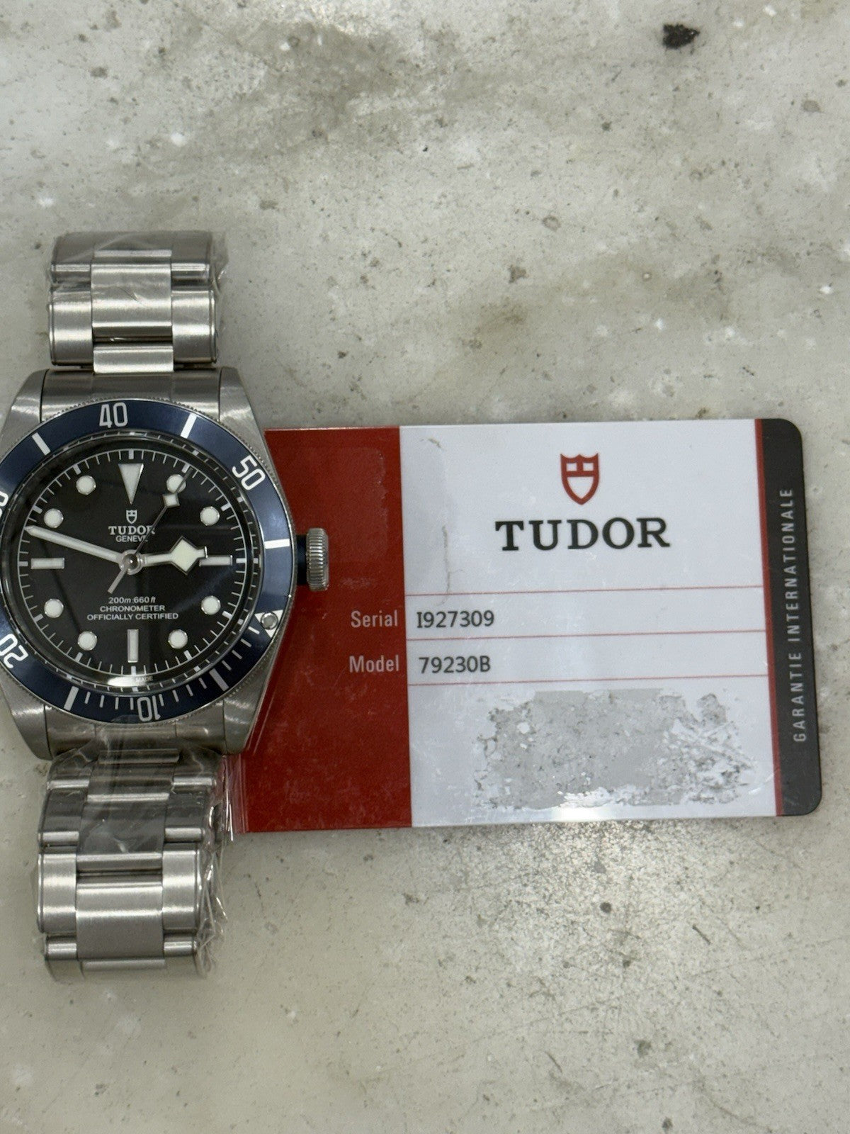 2019 Tudor Black Bay Blue Steel Automatic Men's Watch 79230B - Box & Papers
