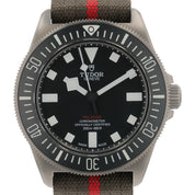 2025 Tudor Pelagos FXD Titanium Black Dial 42mm Automatic Men's Watch 25717N