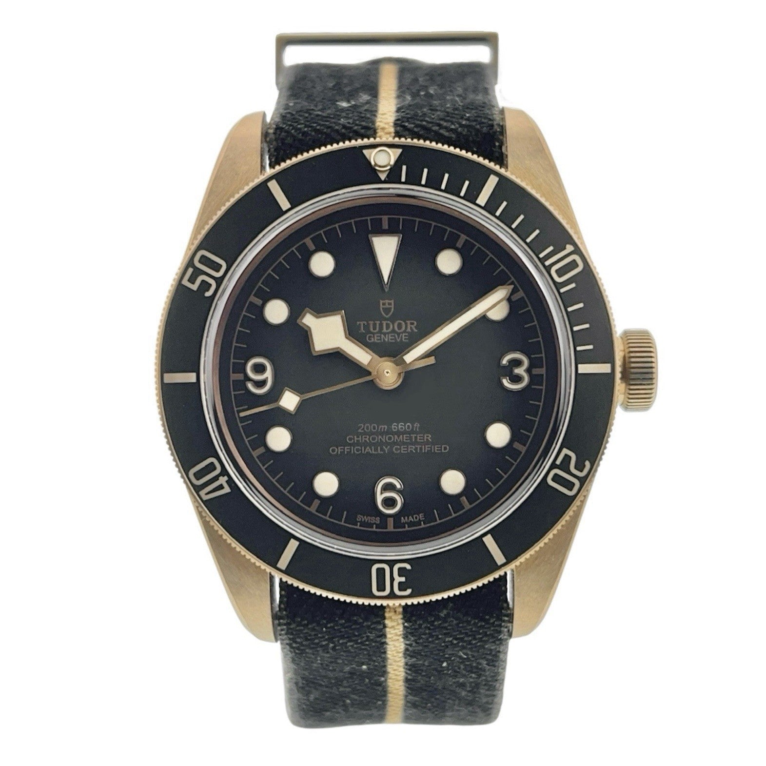 2021 Tudor Black Bay Bronze Gray Dial 43mm Automatic Mens Watch 79250BA