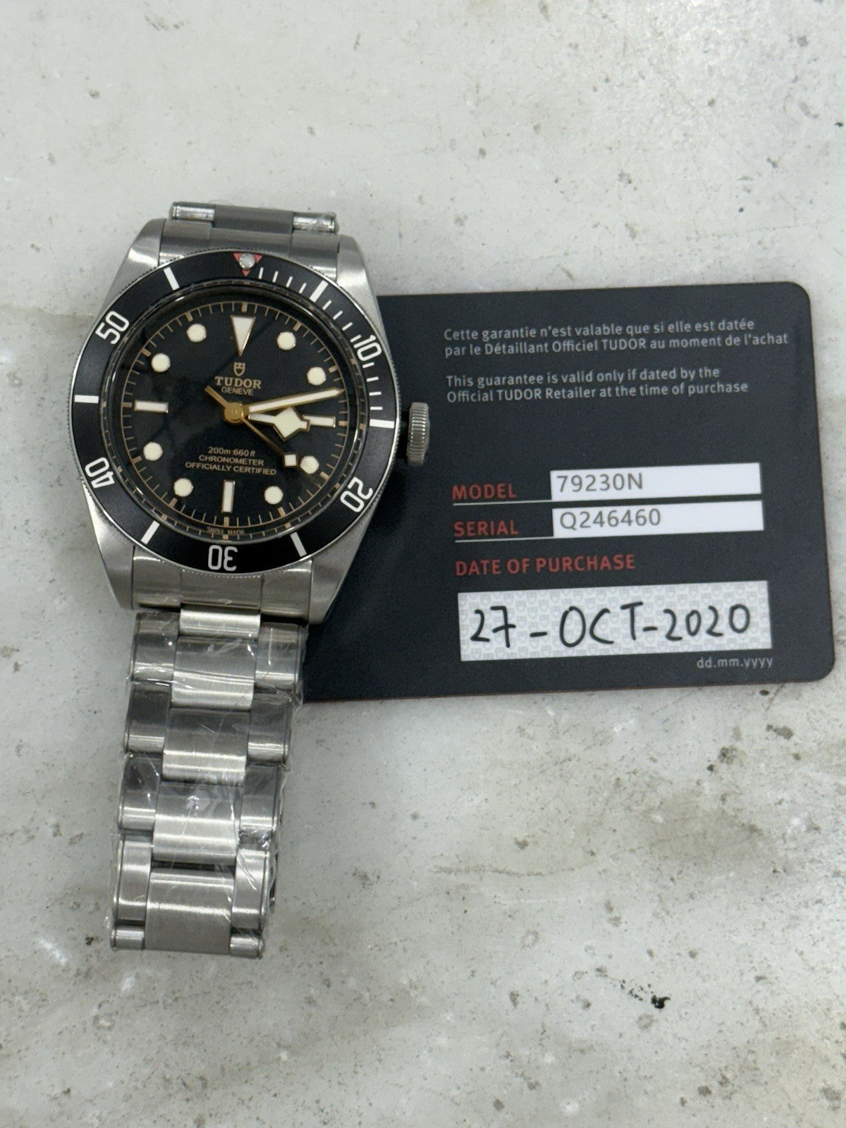 2020 Tudor Black Bay 79230N Automatic Steel 41mm Black Dial Watch- Box/Paper