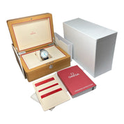 2022 Omega Seamaster Aqua Terra Steel 41mm Men's Watch 220.12.41.21.06.001