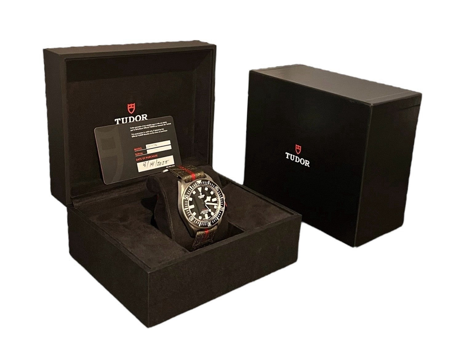 2025 Tudor Pelagos FXD Titanium Black Dial 42mm Automatic Men's Watch 25717N