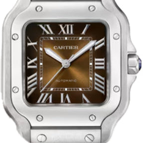 Cartier Santos De Cartier Watch Medium Model Automatic Movement Steel Interchangeable Metal And Leather Straps - WSSA0065