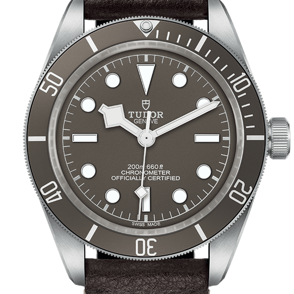 m79010sg-0001-tudor-black-bay-fifty-eight-925-tdr0120677.png