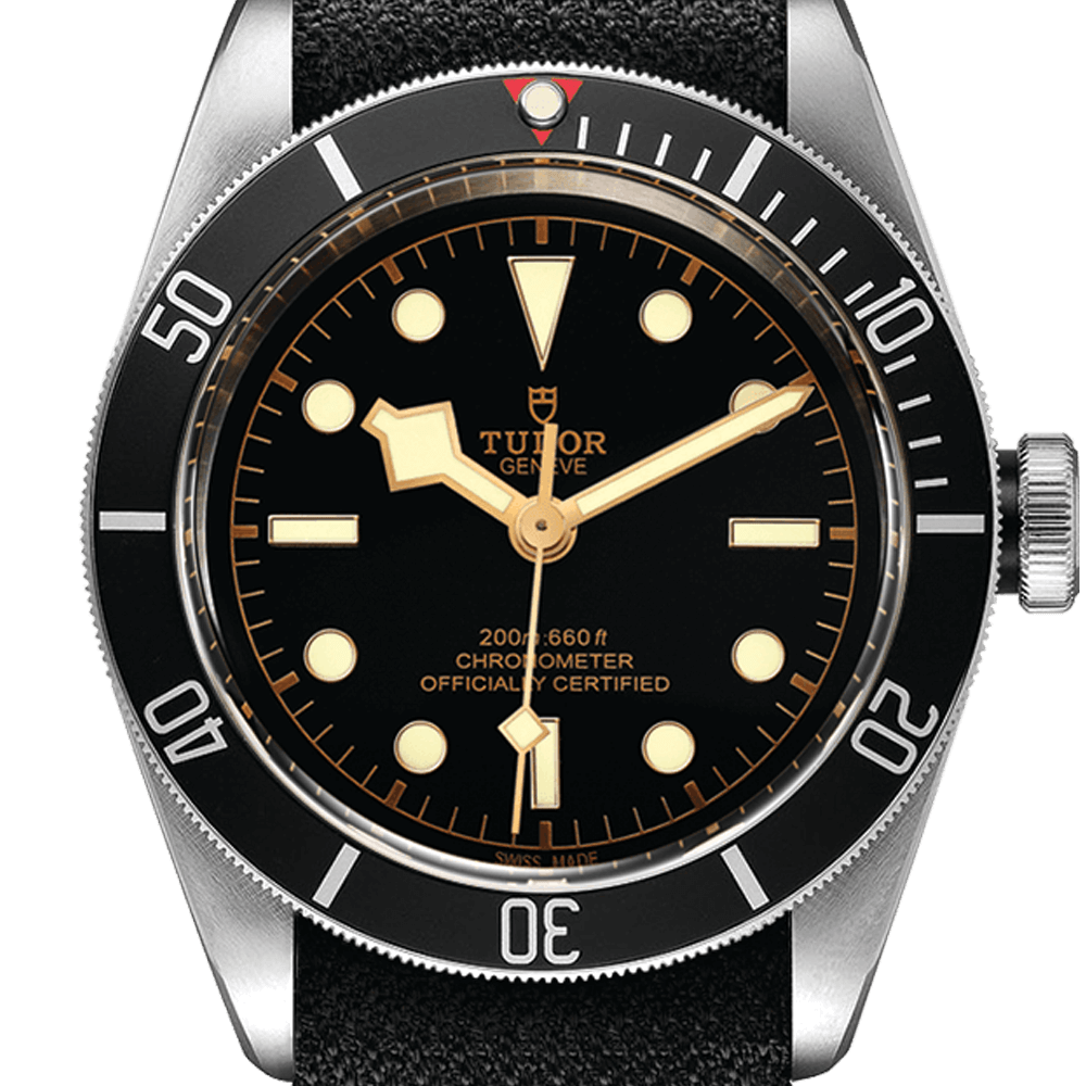 m79230n-0005-tudor-black-bay-tdr0120016.png
