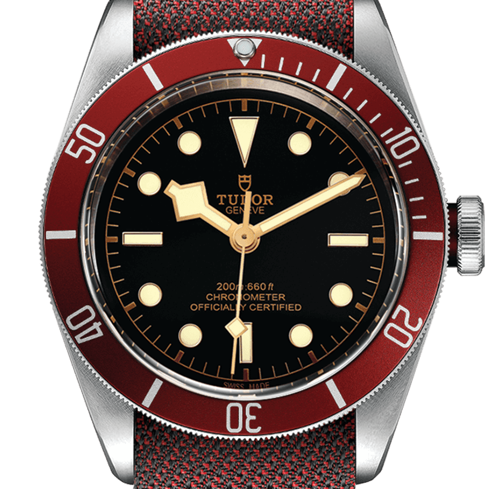 m79230r-0009-tudor-black-bay-m79230r-0009.png