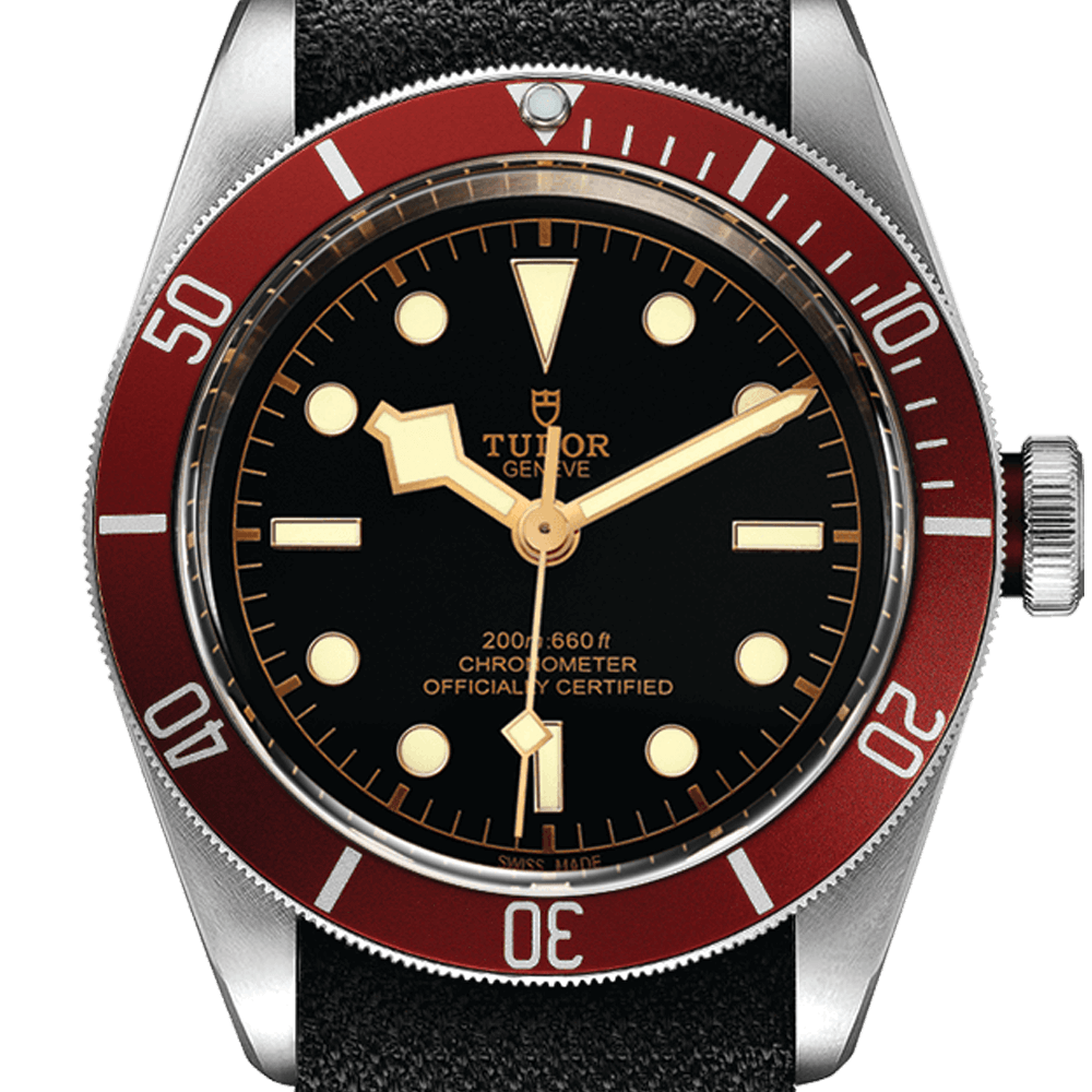 m79230r-0010-tudor-black-bay-tdr0120008.png