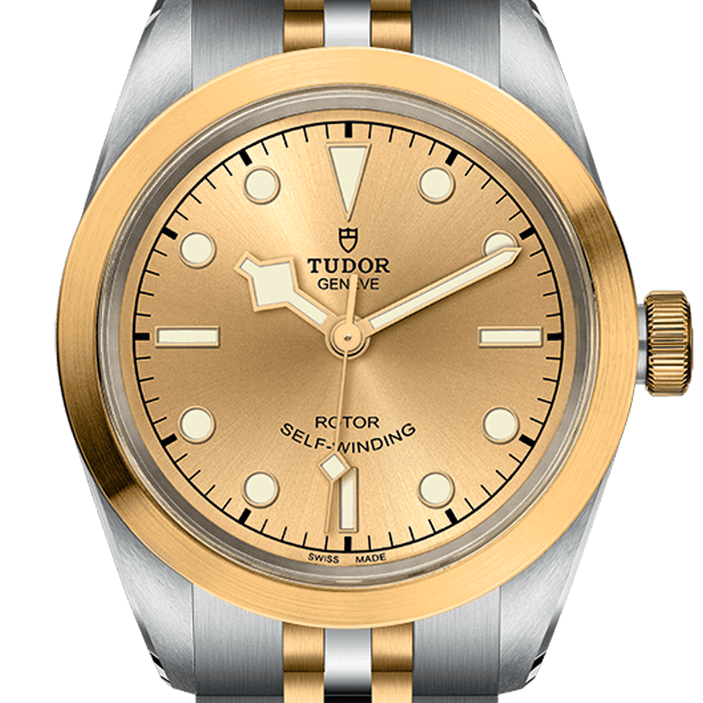 m79583-0002-tudor-black-bay-32-sandg-m79583-0002.png