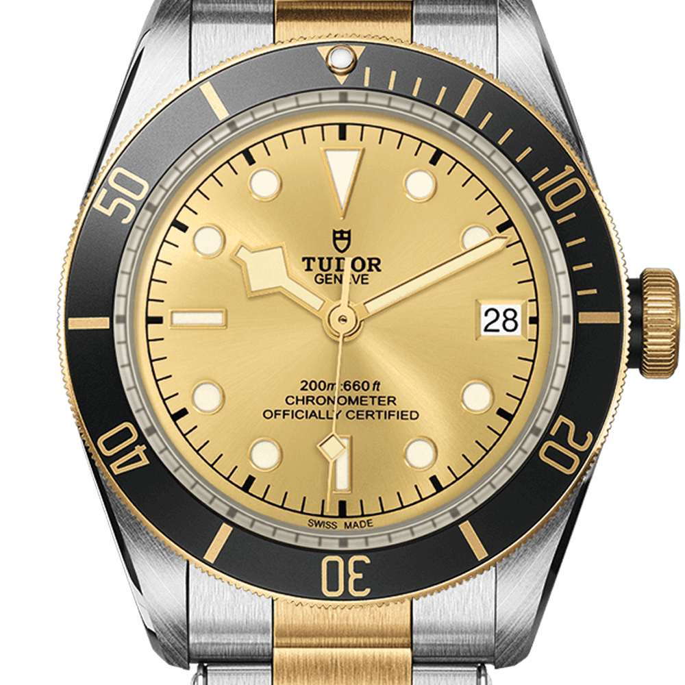 m79733n-0004-tudor-black-bay-sandg-tdr0119919.png