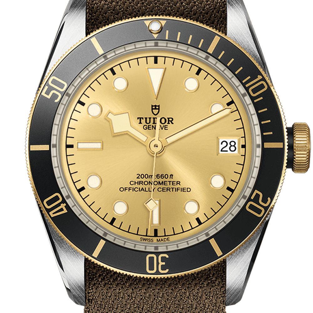 m79733n-0006-tudor-black-bay-sandg-m79733n-0006.png