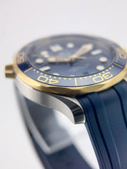 Omega Seamaster Diver Gold & Steel Blue Dial 42mm Auto Men's 210.22.42.20.03.001