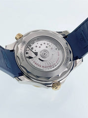 Omega Seamaster Diver Gold & Steel Blue Dial 42mm Auto Men's 210.22.42.20.03.001