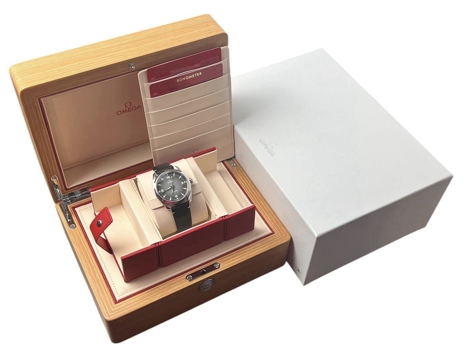Omega Railmaster Grey Dial Steel 38mm Automatic Men’s Watch 235.12.38.20.06.001