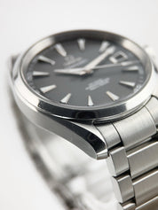 Omega Seamaster Steel Grey Dial 42mm Automatic Men's Watch 231.10.42.21.06.001