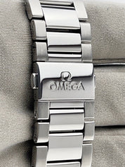 Omega 220.10.41.21.01.001 Seamaster Aqua Terra Co-Axial Master Chronometer 41mm