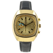 Omega Seamaster Gold Color Dial Gold Plated 42x49mm Automatic Mens Watch 176.005