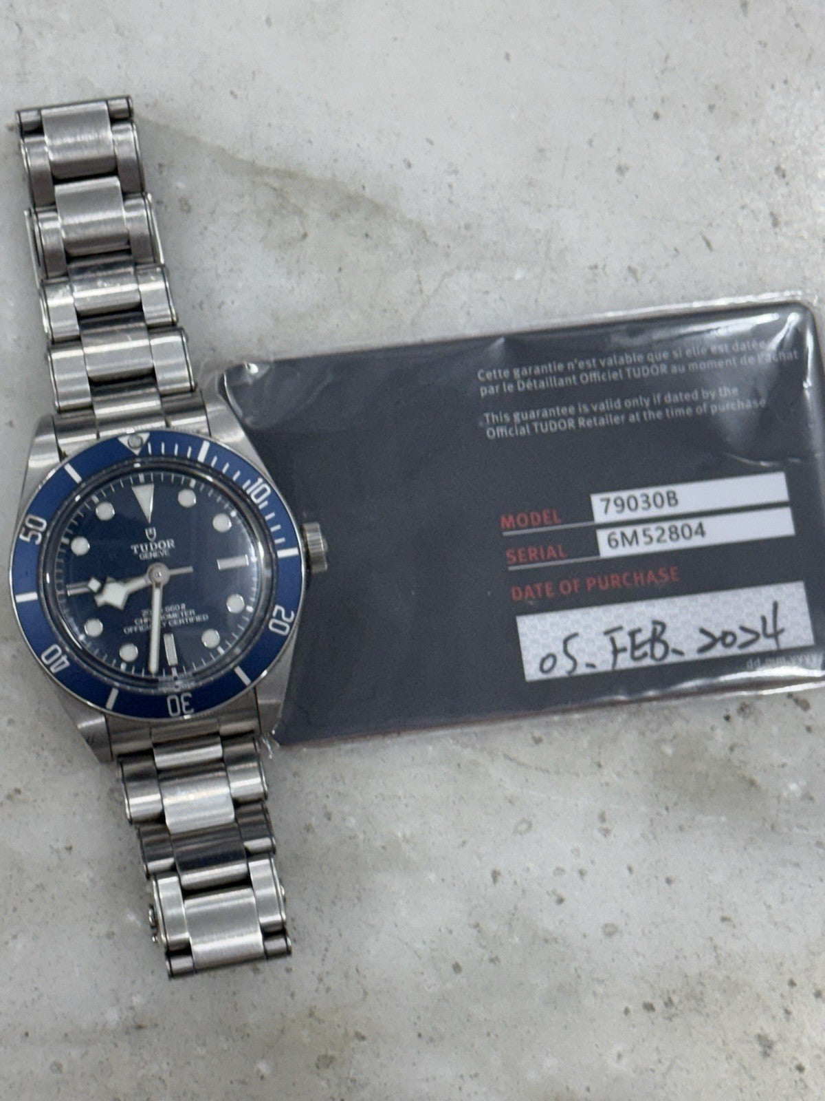 2024 Tudor Black Bay 79030B Stainless Steel Men's Automatic Watch - B/P