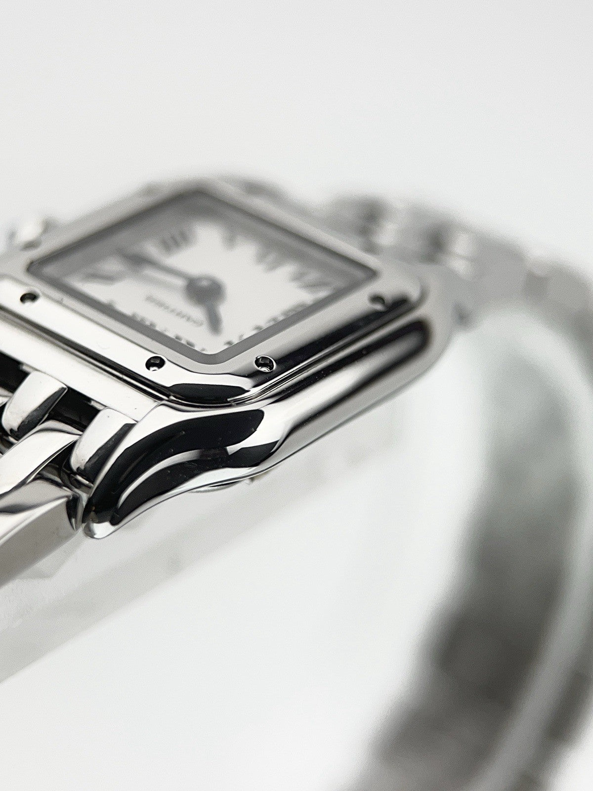 NEW 2025 Cartier Panthere Steel Silver Dial 19mm Quartz Women's Watch WSPN0012