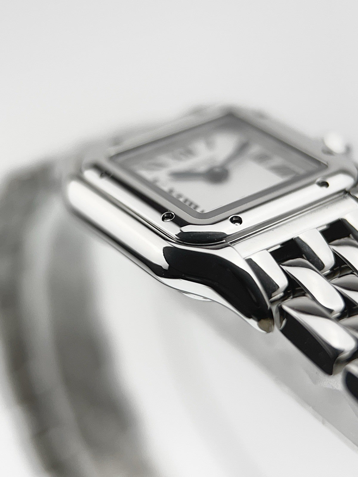 NEW 2025 Cartier Panthere Steel Silver Dial 19mm Quartz Women's Watch WSPN0012
