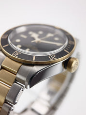 Tudor Black Bay 79733N