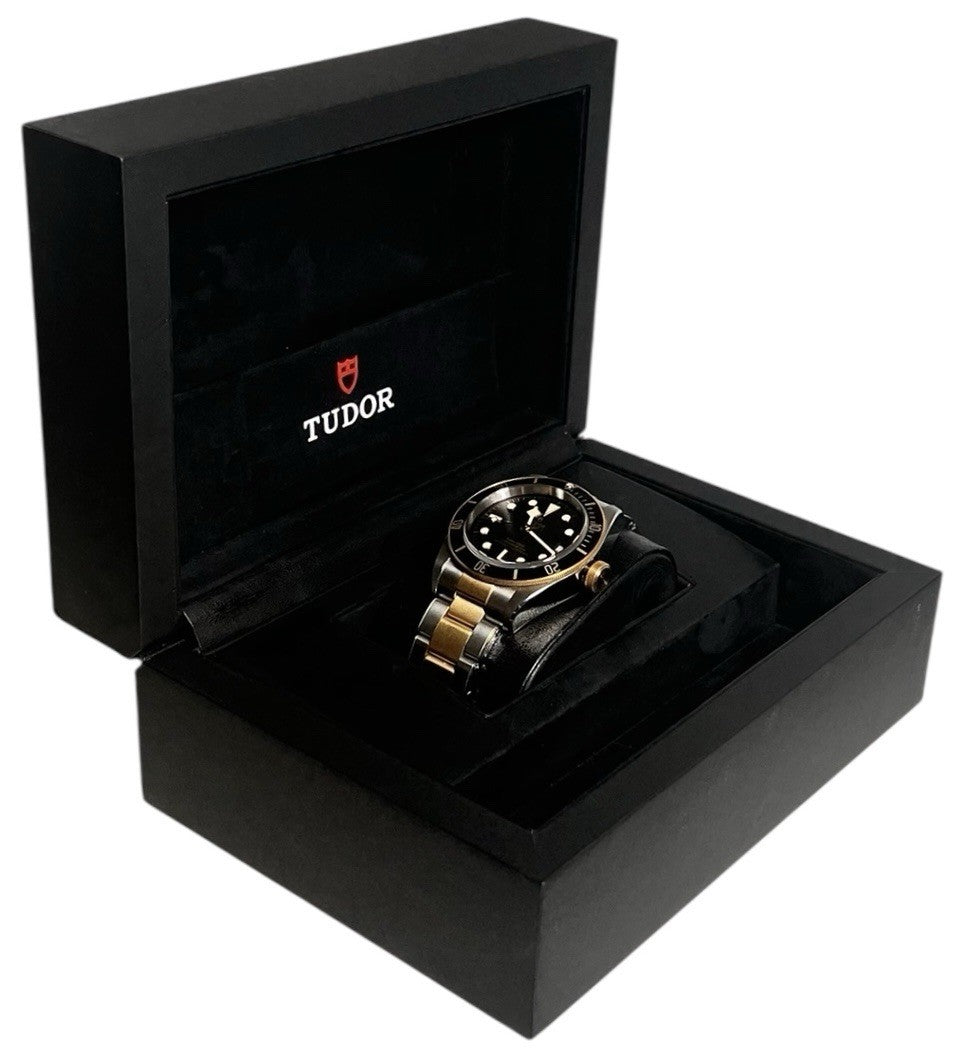 Tudor Black Bay 79733N
