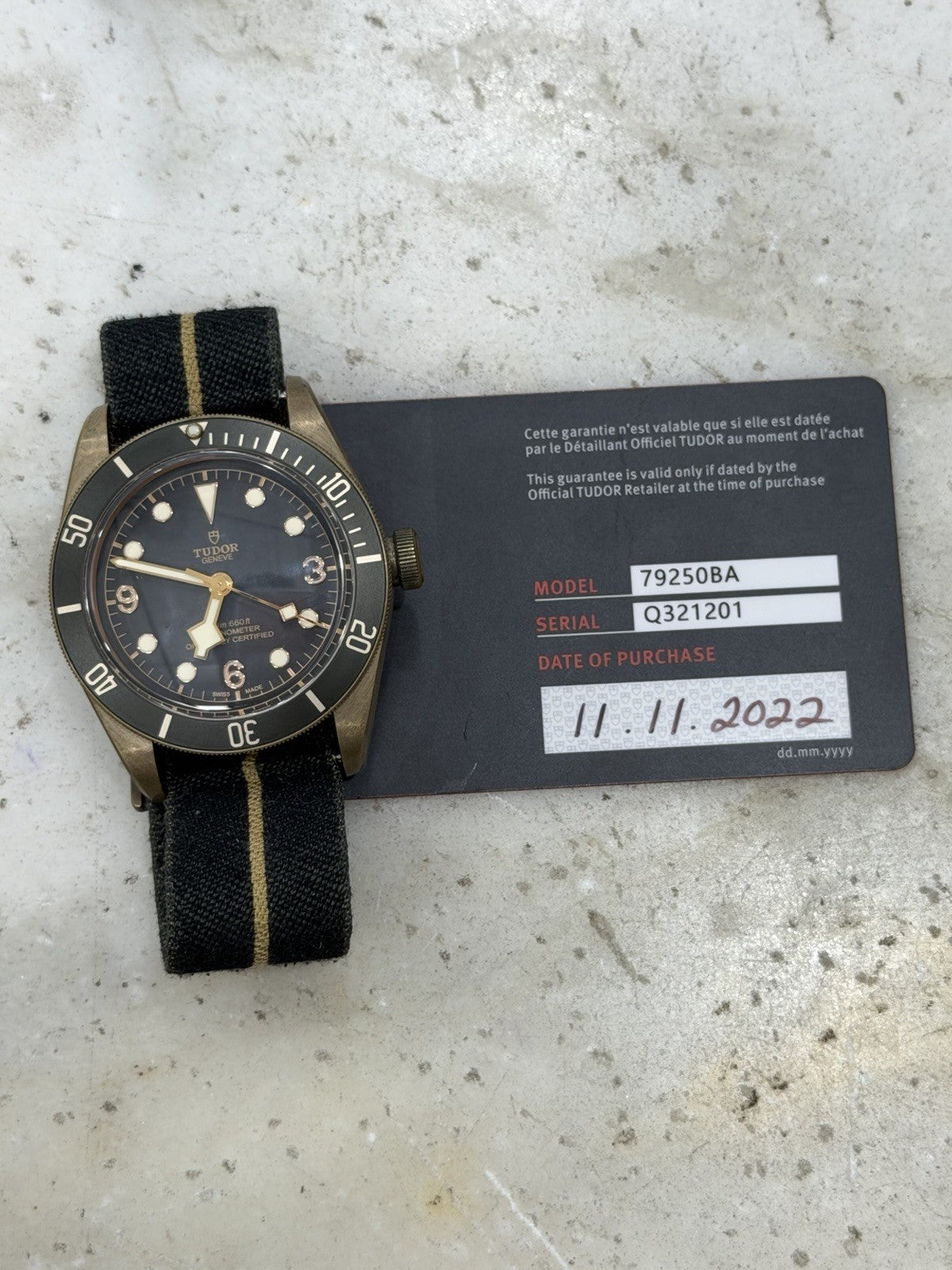 2022 Tudor Black Bay Bronze Grey Dial 43mm Automatic Men's Watch 79250BA