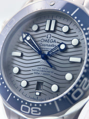 Omega Seamaster Steel Gray Dial 42mm Automatic Mens Watch 210.30.42.20.06.001