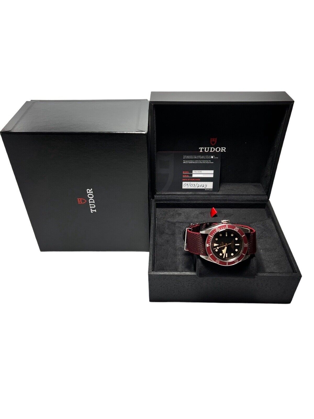 NEW 2023 Tudor Black Bay Automatic 41mm Black Dial 79230R - Box & Papers