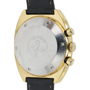 Omega Seamaster Gold Color Dial Gold Plated 42x49mm Automatic Mens Watch 176.005
