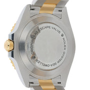 Rolex Sea-Dweller Gold & Steel Black Dial 43mm Automatic Movement Men’s 126603