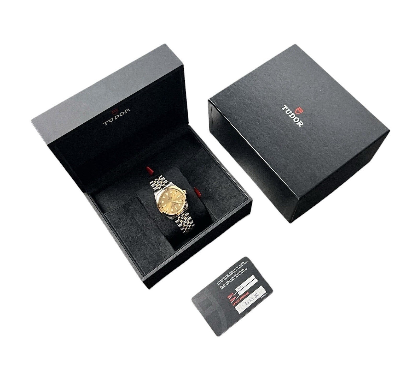 Tudor Black Bay Champagne Dial Yellow Gold And Steel 36mm Automatic 78643