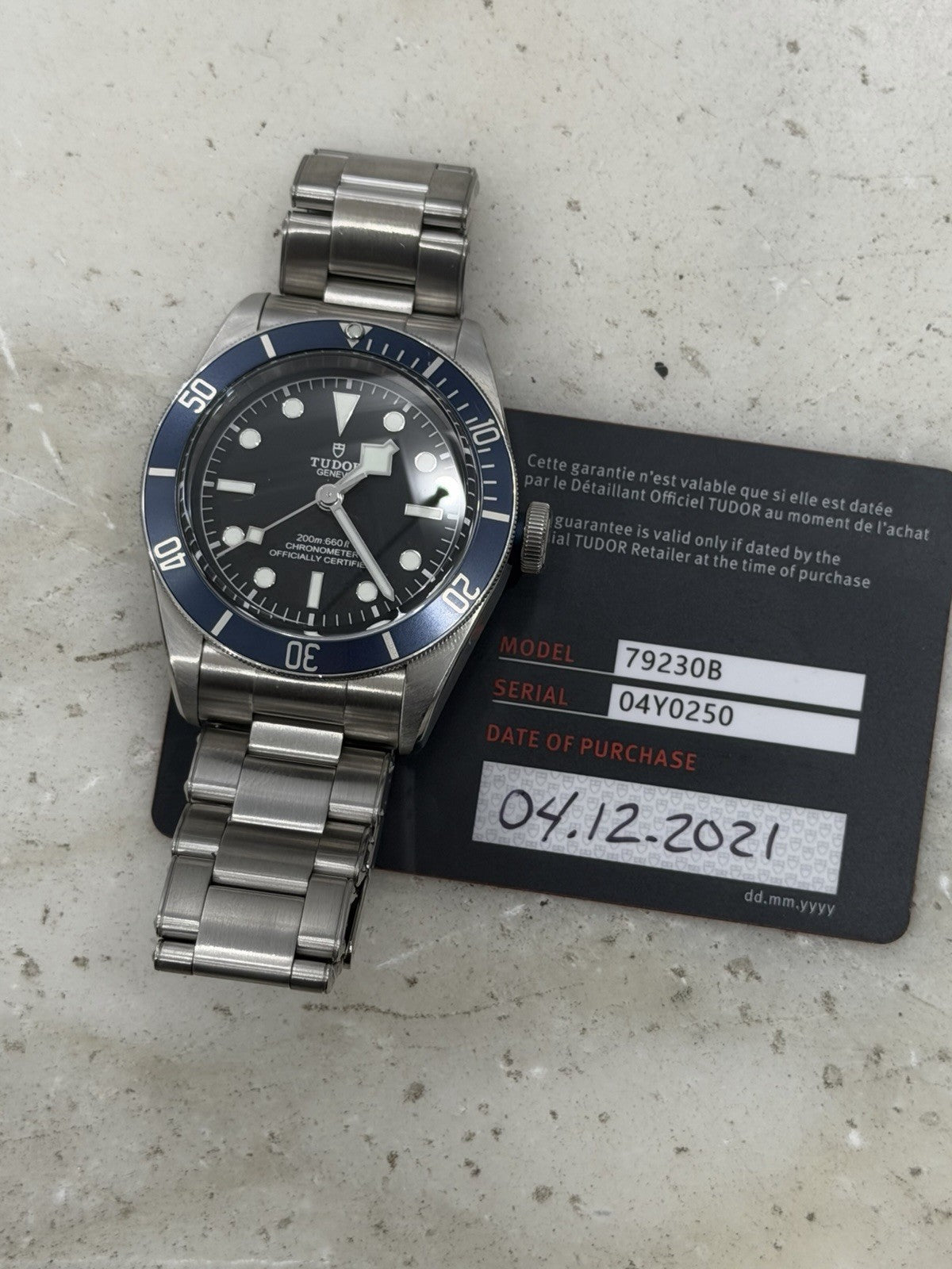 2021 Tudor Black Bay Blue Stainless Steel Men's Watch 79230B - Box & Papers