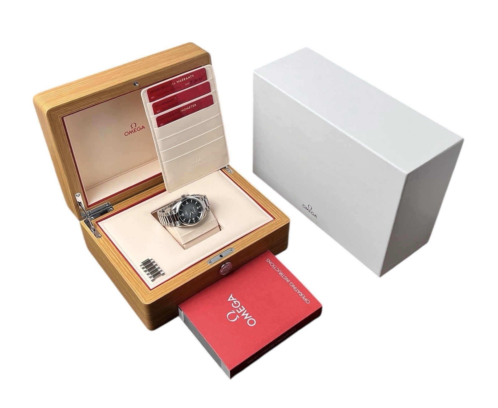 Omega Seamaster Railmaster Steel Gray Dial 38mm Automatic 235.10.38.20.06.001