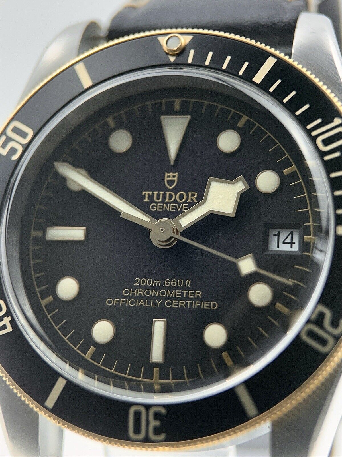 Tudor Black Bay Stainless Steel S&G 41mm Automatic Mens Watch 79733N