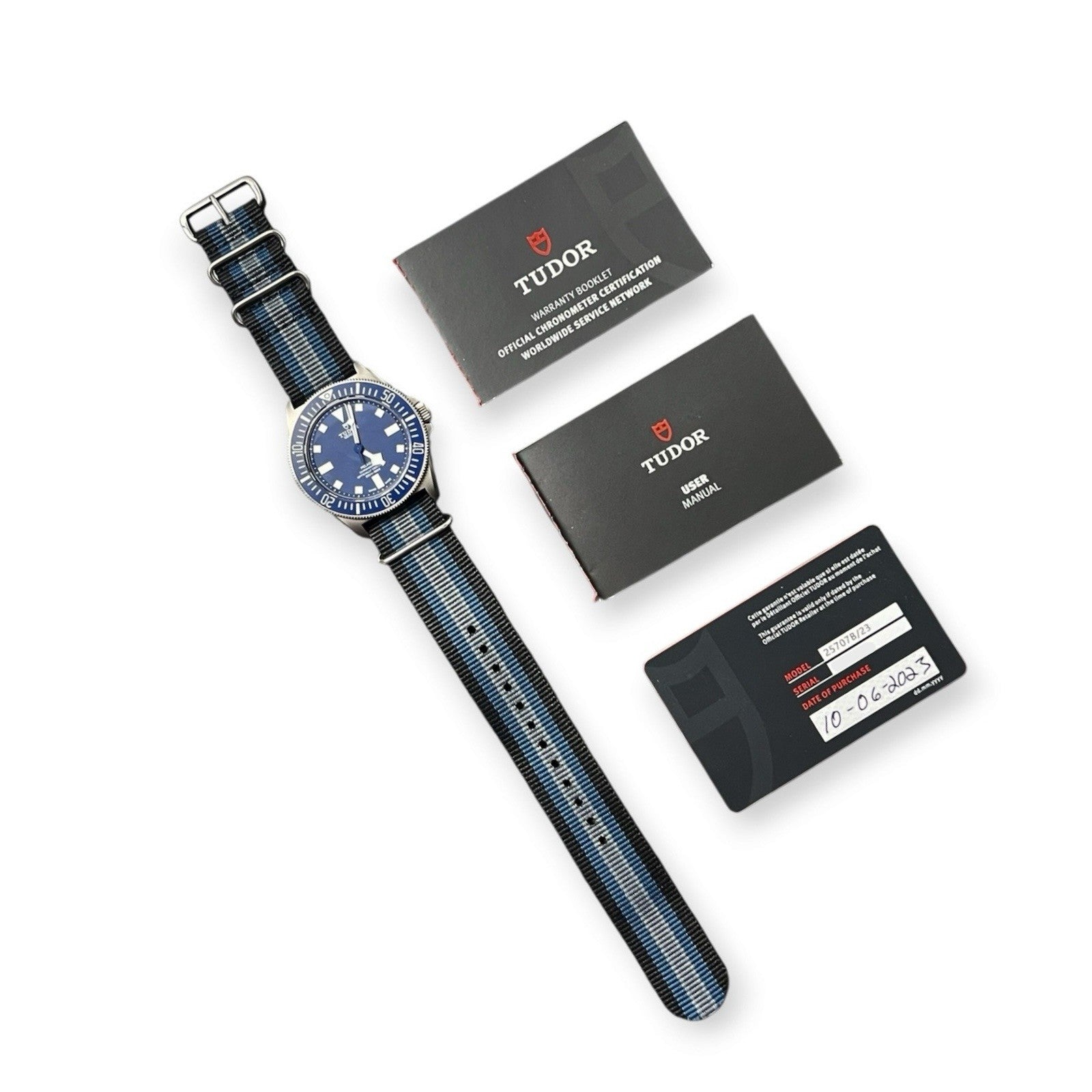 Tudor Pelagos FXD Blue Dial Titanium 42mm Automatic Movement Mens Watch 25707B