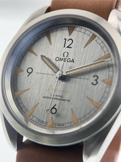 Omega Railmaster Steel Grey Dial 40mm Automatic Men's Watch 220.12.40.20.06.001