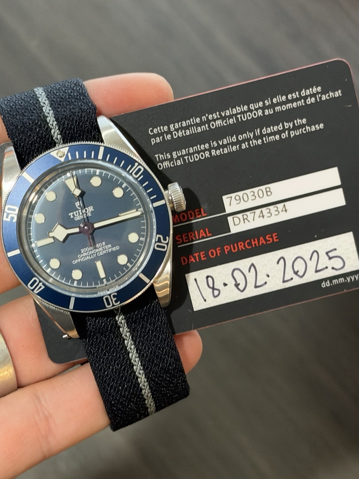 2025 Tudor Black-Bay Stainless Steel Blue 39mm Automatic Men’s Watch 79030B