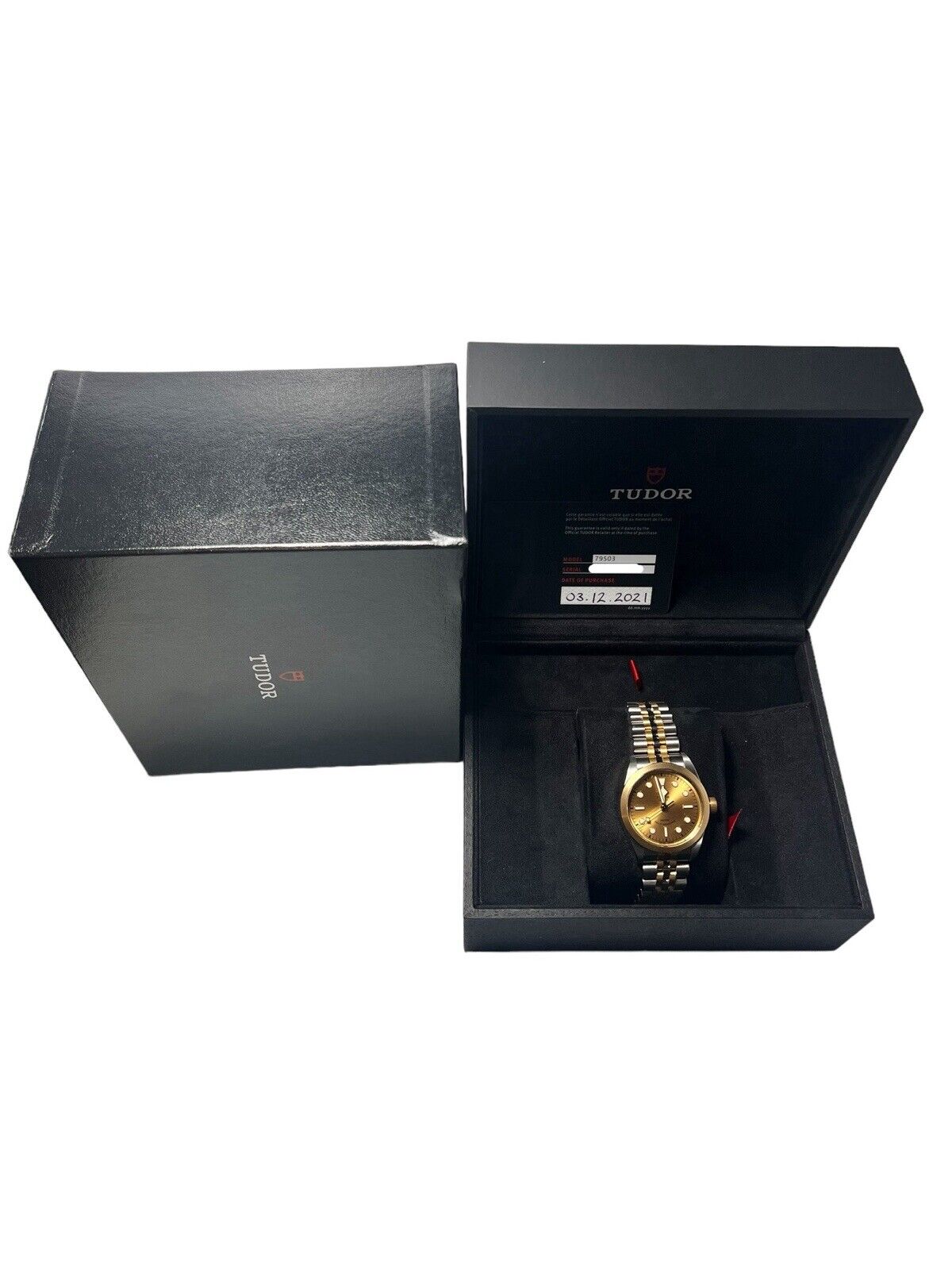 Tudor Black Bay S&G Steel Champagne Dial 36mm Automatic Men’s Watch 79503