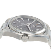 Omega Seamaster Steel Gray/Black Dial 39mm Automatic Mens 231.10.39.21.06.001