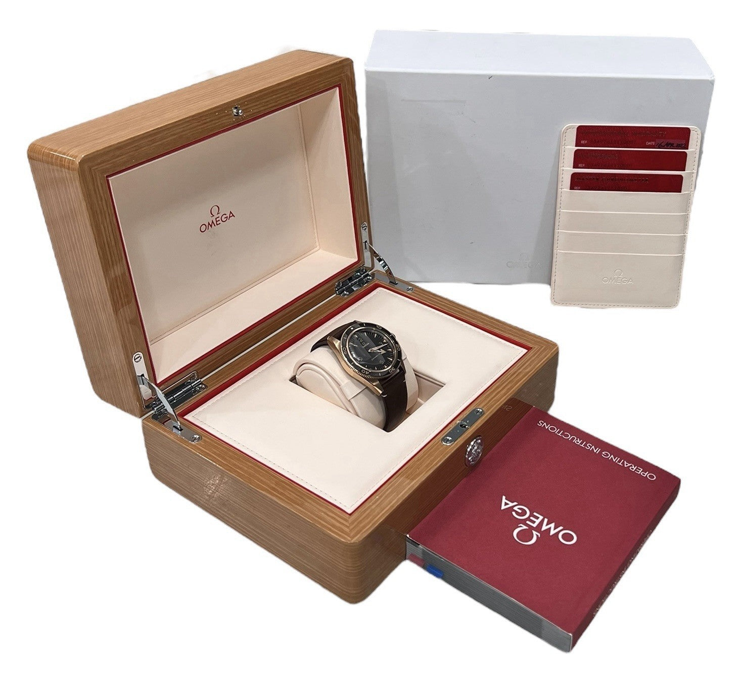 Omega Seamaster 234.92.41.21.10.001