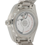 Omega Seamaster Railmaster Steel Gray Dial 38mm Automatic 235.10.38.20.06.001