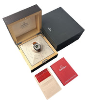 Omega Seamaster Worldtimer Gray Dial Platinum 43mm Automatic 220.93.43.22.99.001