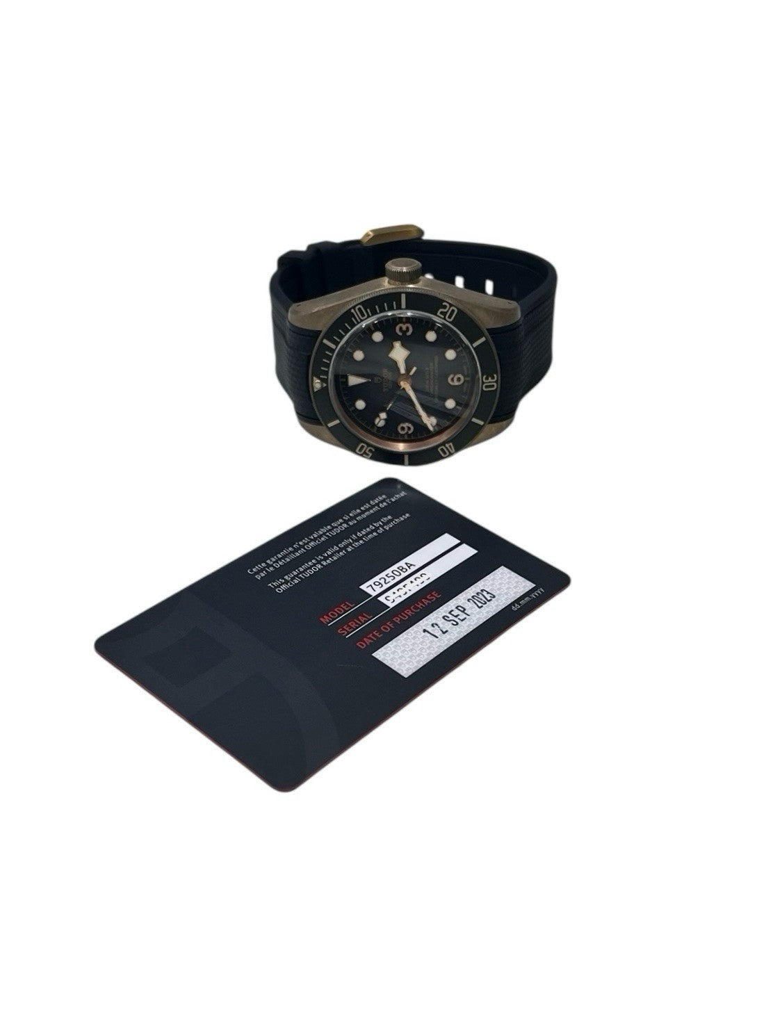 Tudor Black Bay Bronze Grey Dial 43mm Automatic Movement Mens Watch 79250BA