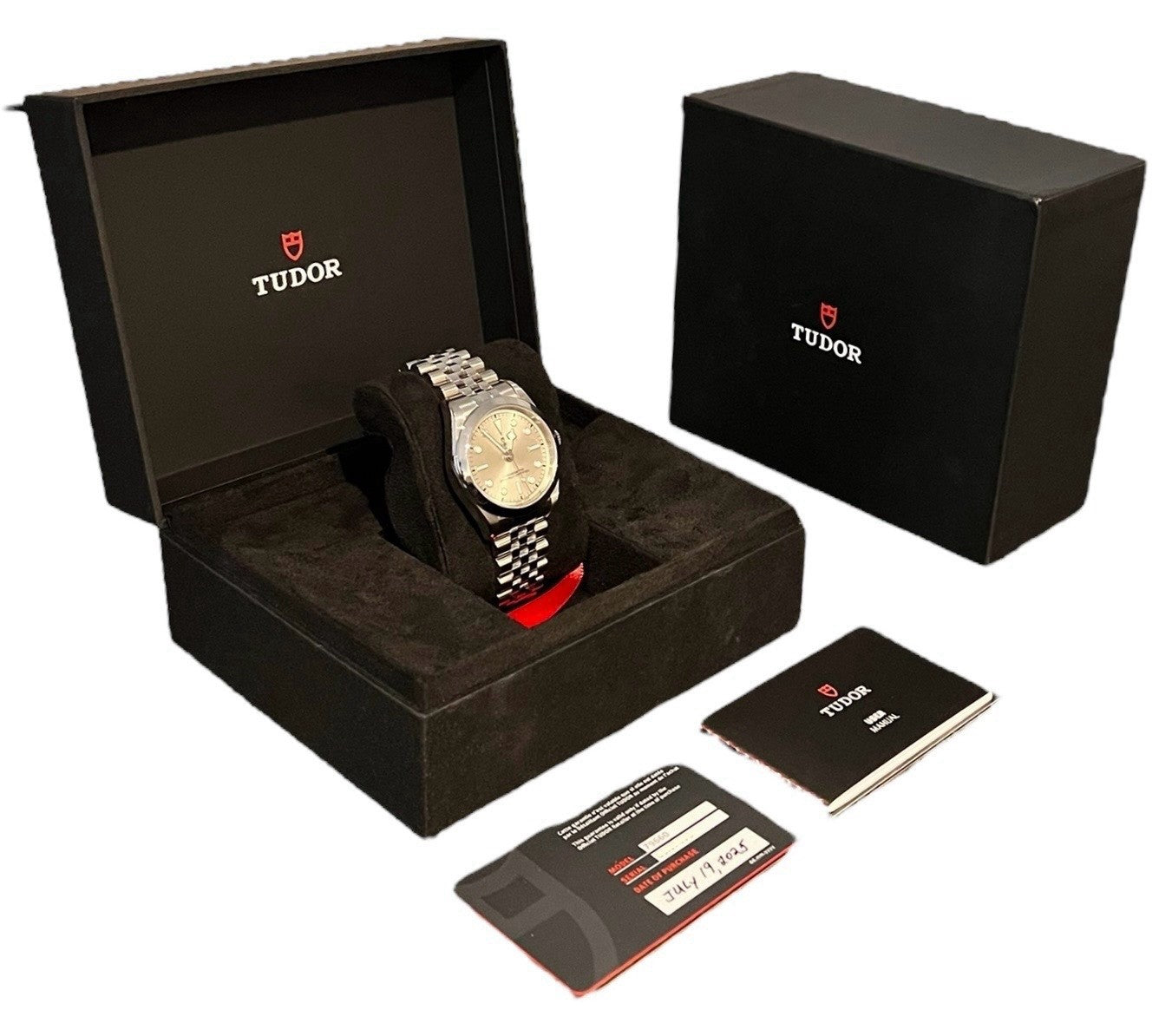 Tudor Black Bay Stainless Steel Silver Dial 39mm Automatic Movement Men’s 79660