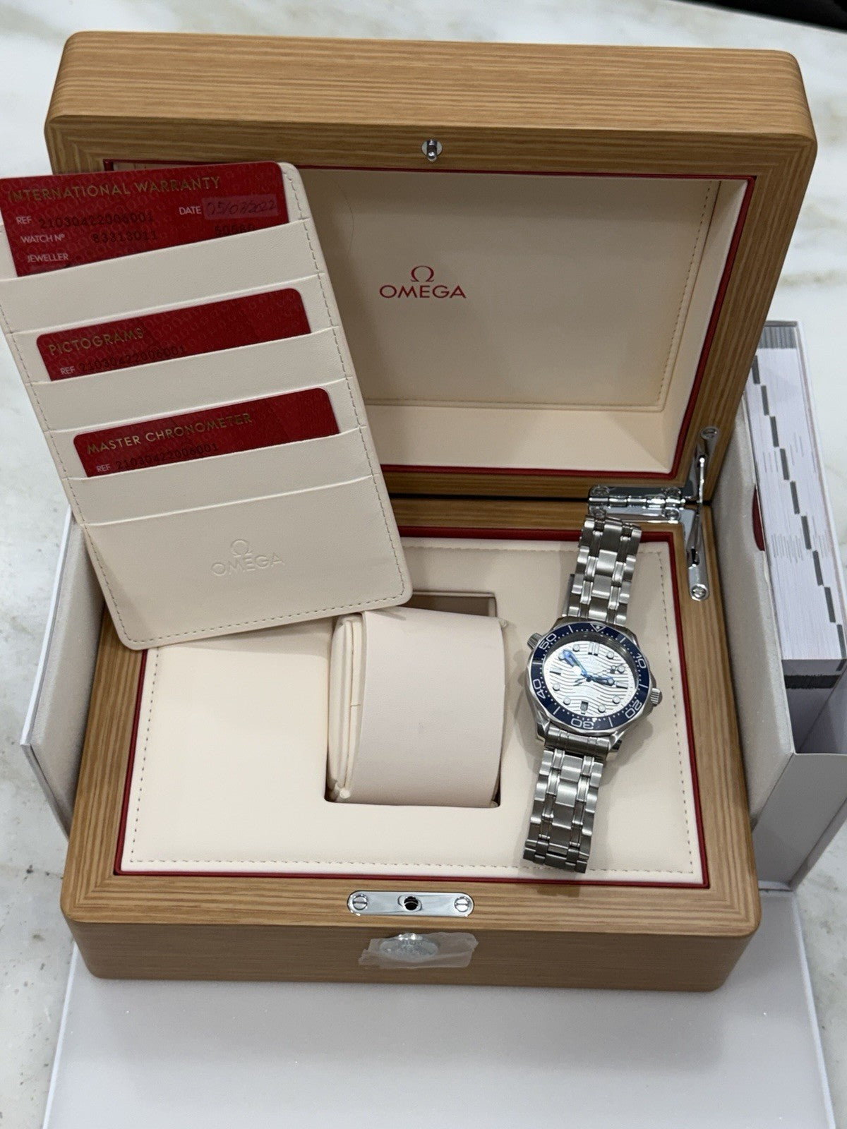 2022 Omega Seamaster Gray Dial 42mm Automatic Mens Watch 210.30.42.20.06.001