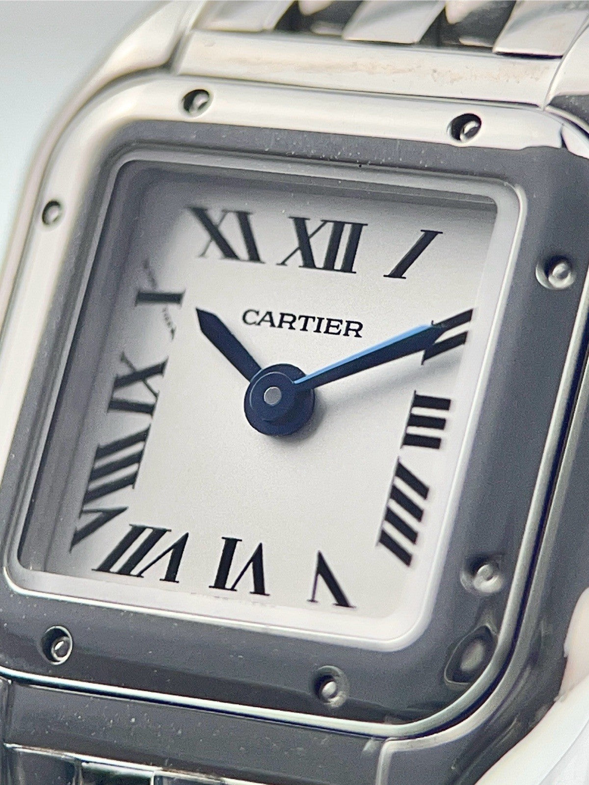 NEW 2025 Cartier Panthere Steel Silver Dial 19mm Quartz Women's Watch WSPN0012