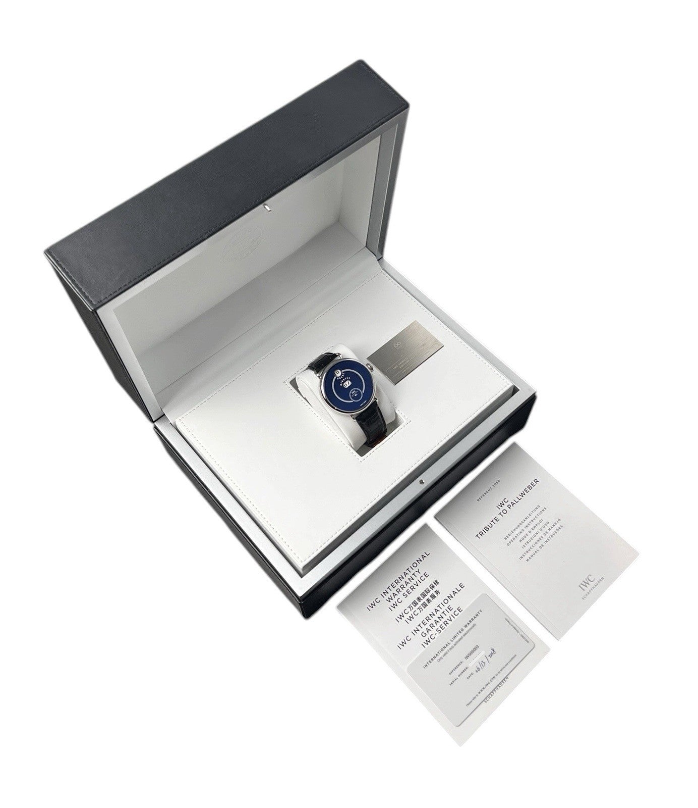 IWC Tribute To Pallweber Blue Dial Steel 45mm Manual Wind Men’s Watch IW505003