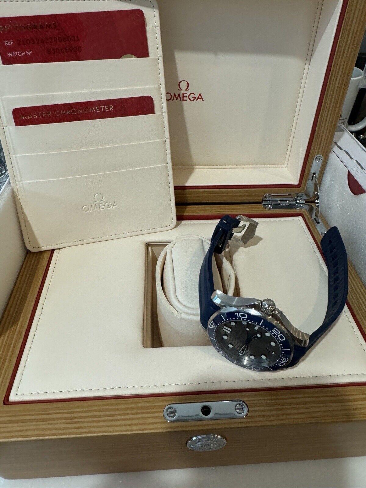 Omega Seamaster Ceramic Diver 300m Automatic Silver Dial 210.32.42.20.06.001